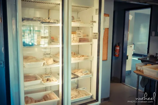 Christies Too Fish & Chips