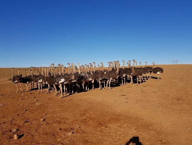 Skilpadgat Guest Farm & Entertainment Venue