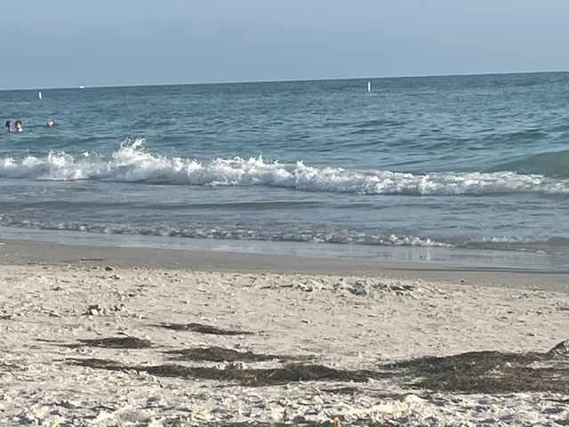 Saltwater Destination