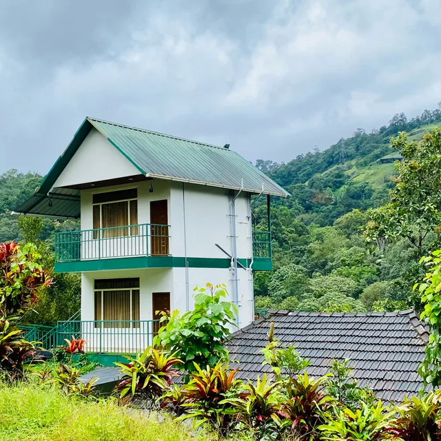 Green Cradle by Albin Shaju