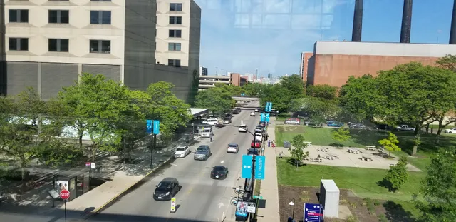 University Of Illinois Dermatology