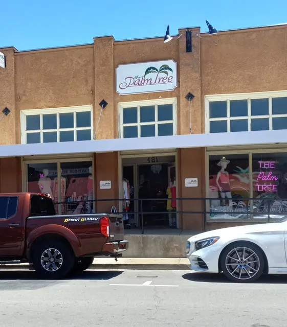 The Palm Tree Boutique