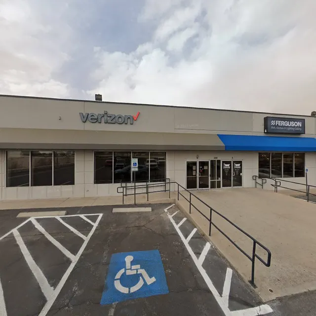 Verizon Business Services