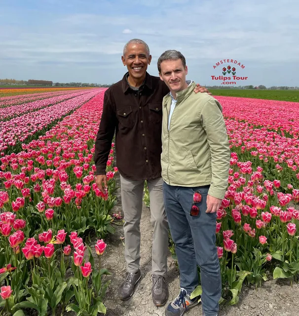 Amsterdam Tulips Tour