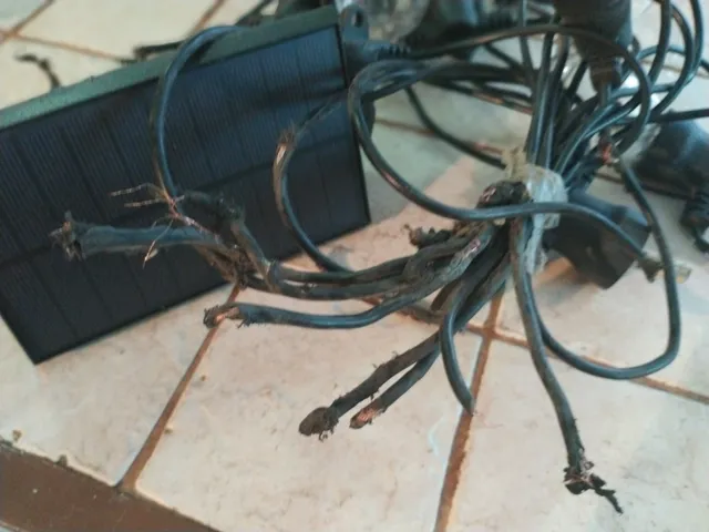 United States Postal Service