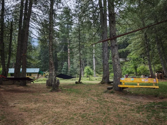 Into the Woods Tulga