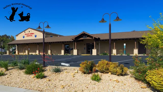 Valley Animal Hospital