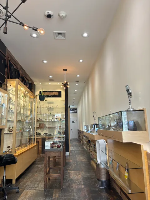 TRUE EXPRESSION - Fine Piercing Studio