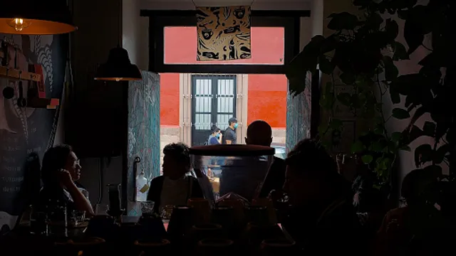 El Apapacho BARRA | Café de Especialidad