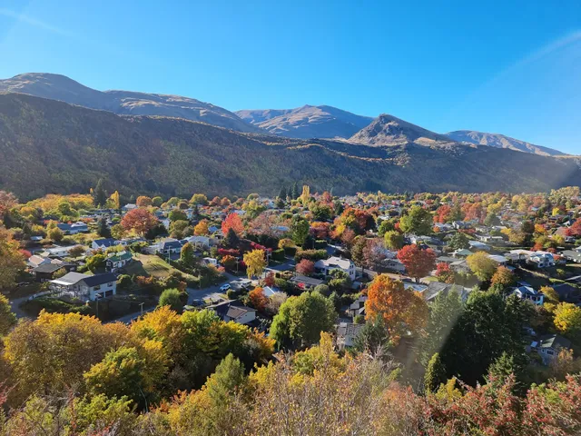 Feehly Hill Scenic Reserve