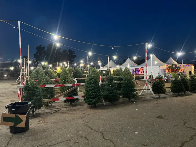 Speer Family Farms Wonderland Christmas Trees