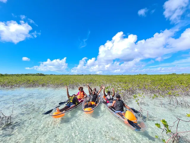 Clear Wave Tours – Clear Kayak & Boat in Turks & Caicos
