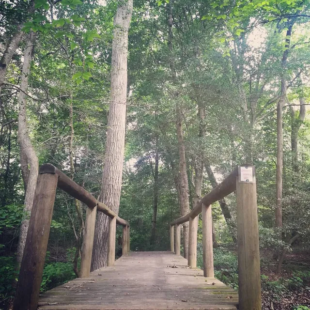 Zoar State Forest - Virginia Department of Forestry