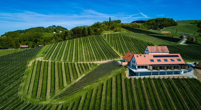 Weinschmiede Gamlitz - Weingut Tscherne-Strauss