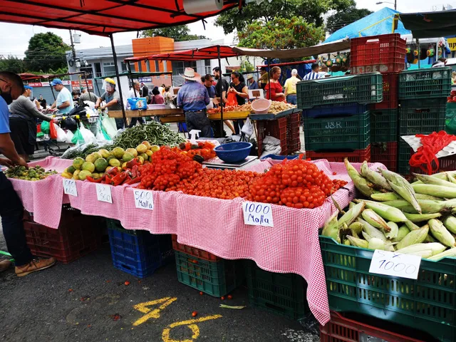 Farmer’s Sunday Market, Zapote