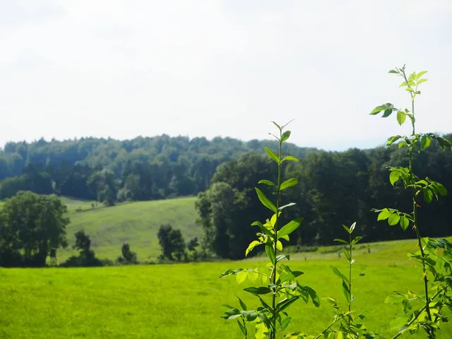 Clausberg Ferienwohnungen