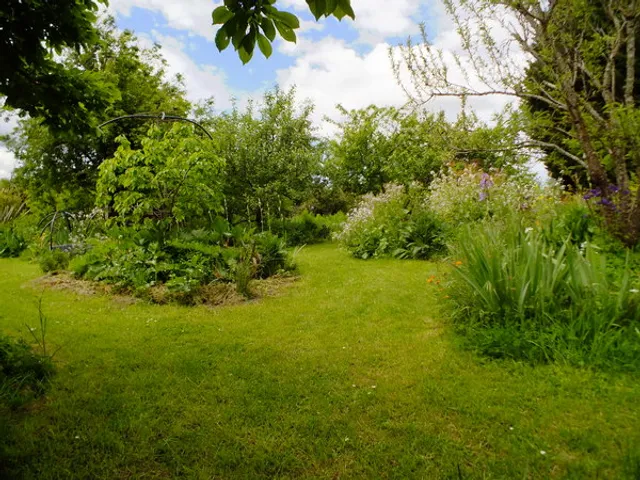 Blockhill Forest Garden