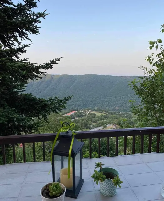 Άγρια Λούλουδα