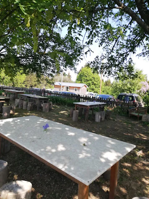 Wildberg Café - Stefanie Traut