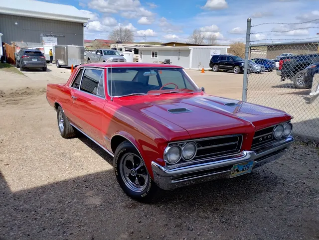 Big Horn Mountain Eagles