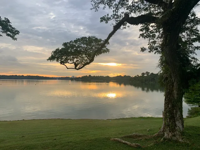 Upper Seletar Reservoir Fishing ground