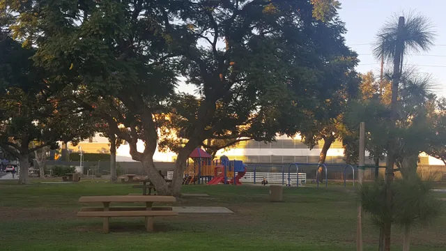 Robert White Park + Dog Park