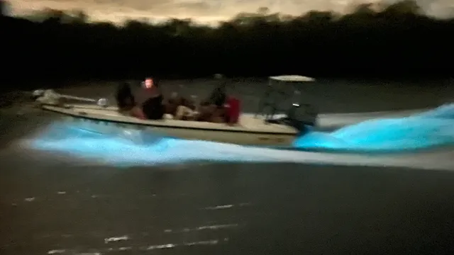 Bioluminescence Boat Tours