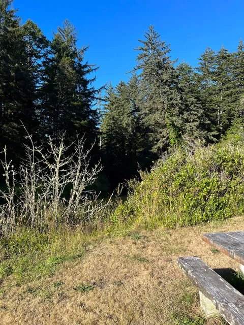 Lodgepole Picnic Area