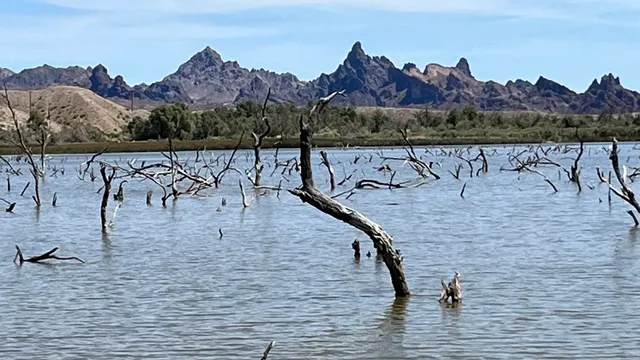 Havasu National Wildlife Refuge
