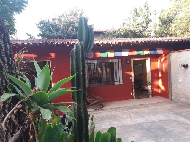 Chale Balines Oroboro