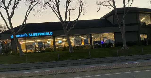 Mancini's Sleepworld Saratoga