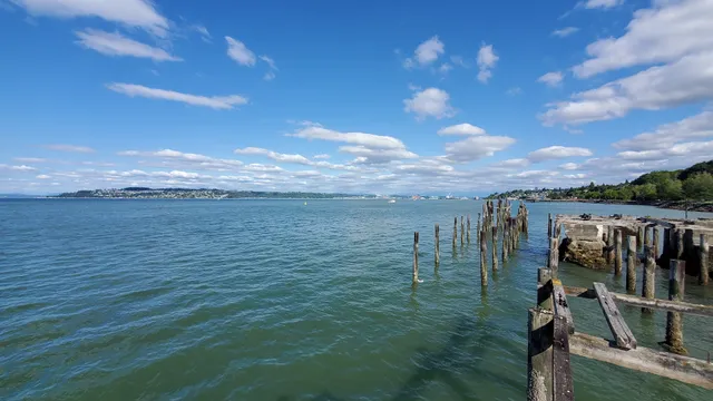 Judge Jack Tanner Park