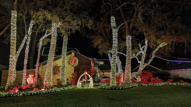 Robinson Road Lights