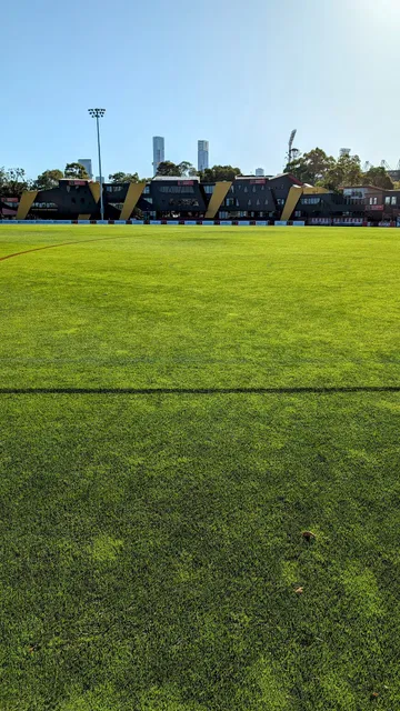 Swinburne Oval
