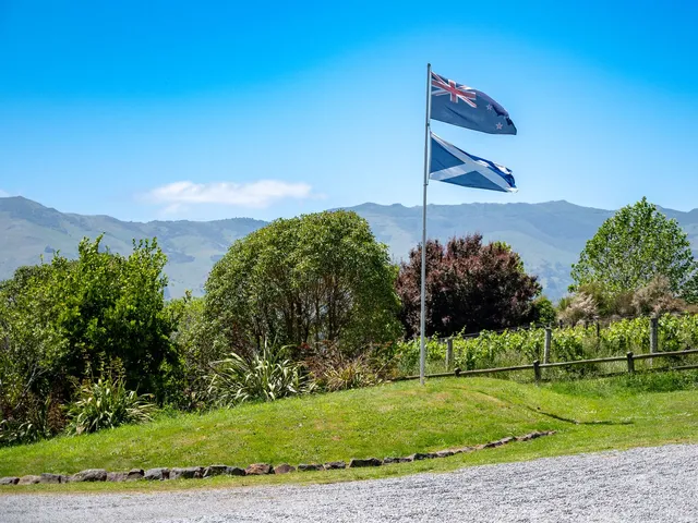 French Peak Vineyard and Accommodation