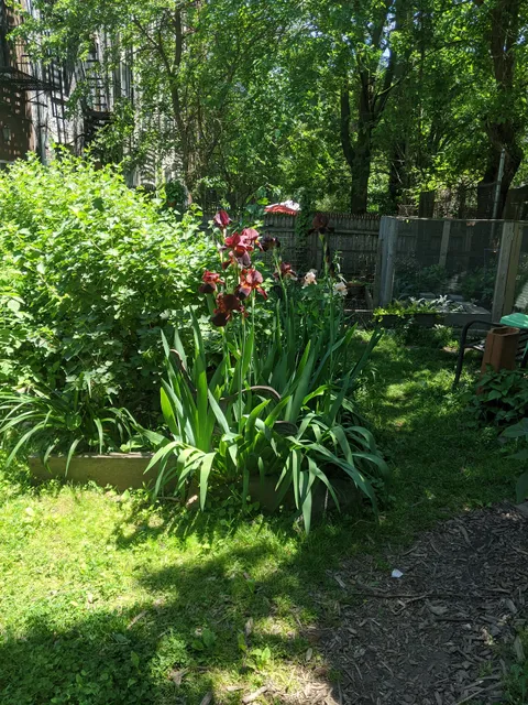 Pleasant Village Community Garden