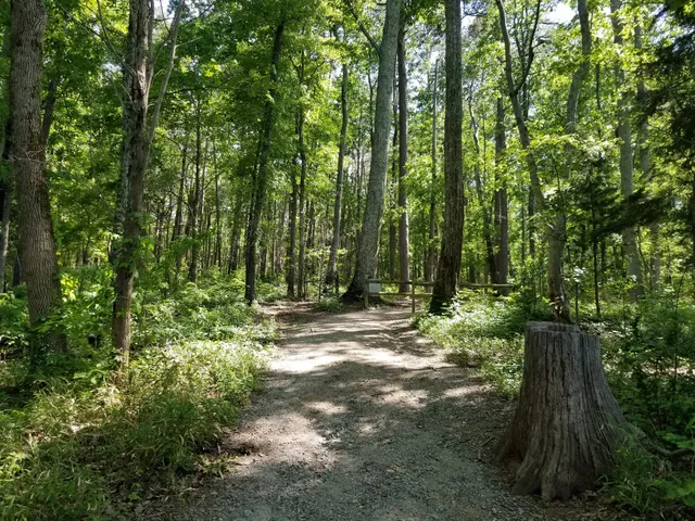 Buzzard Rock Trailhead