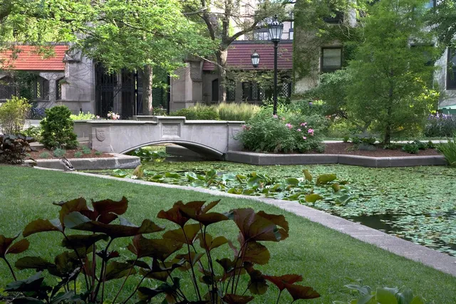 University of Chicago Botany Pond