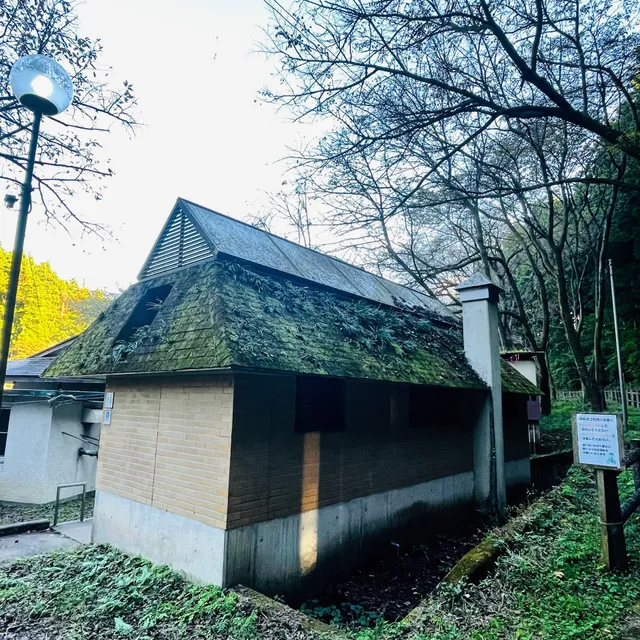 Utsinomiya City Forest Park Camping Ground No. 2