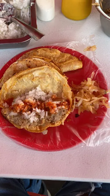 TACOS DE BARBACOA DON JAVIS