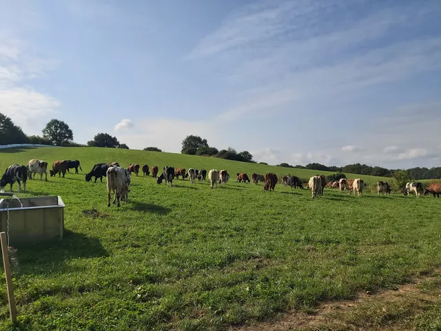 Sibylle Biss Ostseebauernhof