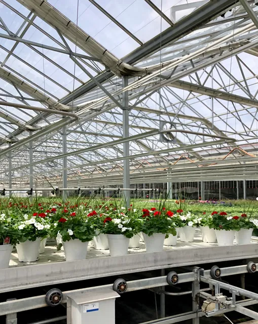 Plantpeddler Young Plants