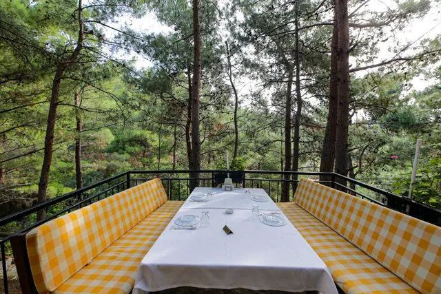 Düşler Vadisi çamlıbel kazdağları