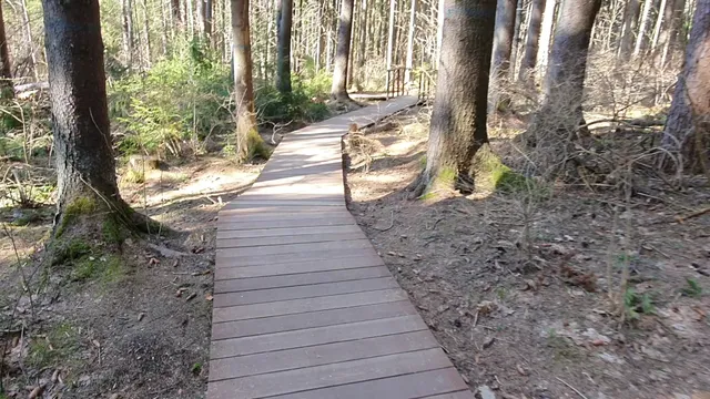 Экологическая тропа «Комаровский берег»