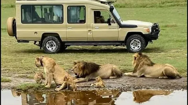Kilimanjaro Safari Experience