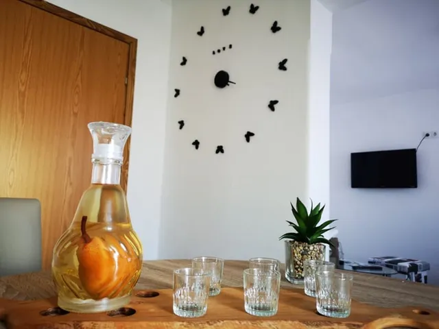 Studio Apartman Borna