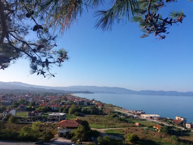 XD Central Apartments