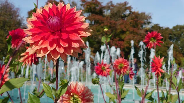 Helbing mein Lieblingsbäcker GmbH & Co. KG