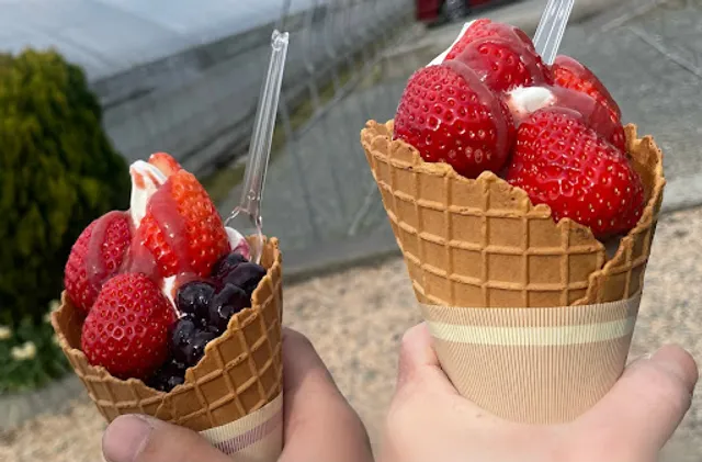 Asamura Strawberry Farm