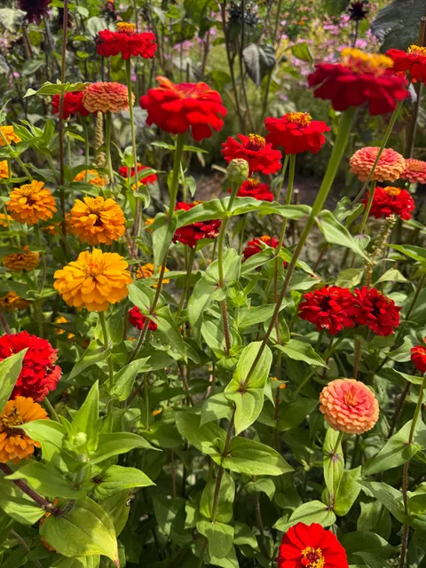 West County Community Farm